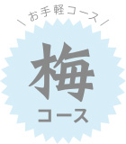 お手軽コース（梅）