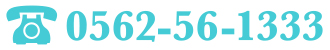 0562561333